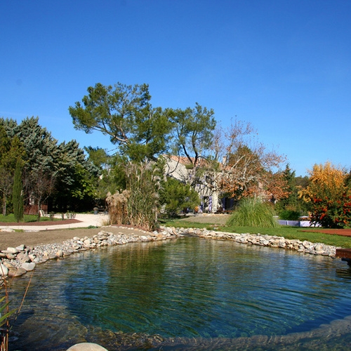 Piscine naturelle